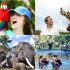 Bali Bird Park + Bathing Elephant