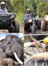 Bali Buggy Tour + Bathing Elephant + Rafting