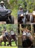 Bali Buggy Tour + Elephant Safari Ride