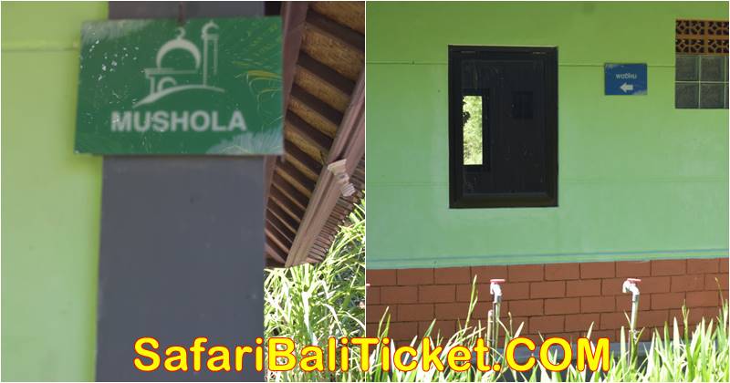 Bali Safari Marine Park Facilities 5