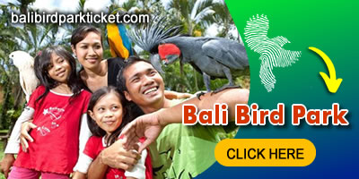 Things To Do in Bali 6