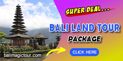 Things To Do in Bali 8