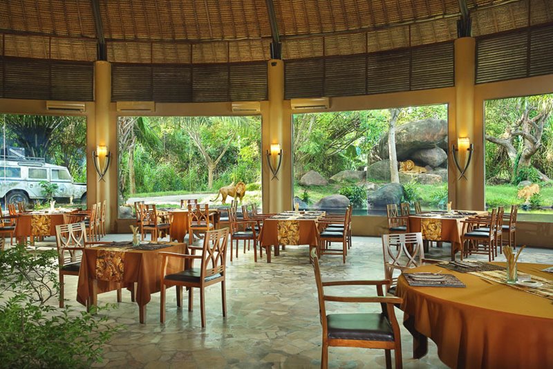 Bali Safari Marine Park tickets with Tsavo lion restaurant view