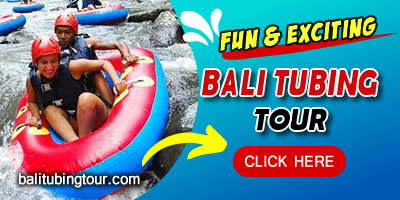 Things To Do in Bali 9