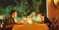 dinner at bali safari