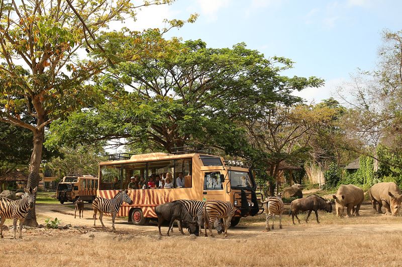 Bali Safari Park Jungle Hopper Package with Private Transfer 2019-2020 1