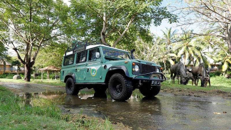 Bali Safari 4x4 private jeep tour