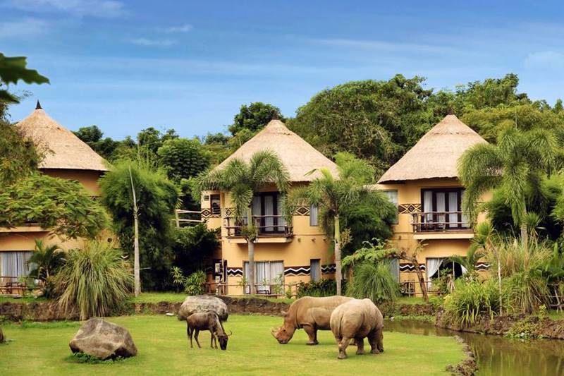 Not Legitimate To Bali Safari If You Don't Do These 5 Things! 8
