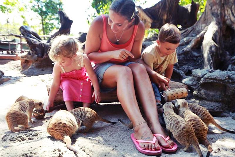 Important Preparations When Going on Vacation to Bali Safari Park 1