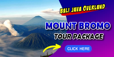 Things To Do in Bali 14