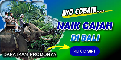 Harga Promo Bali Safari Domestik 15