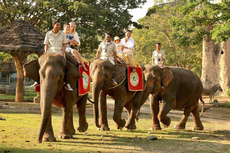 Elephant back safari package