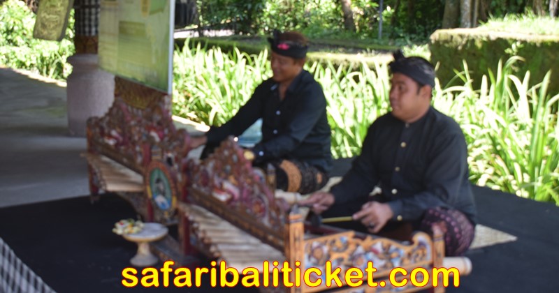 rindik traditional Balinese music play at terminal Bali to welcome Bali Safari Marine park visitors
