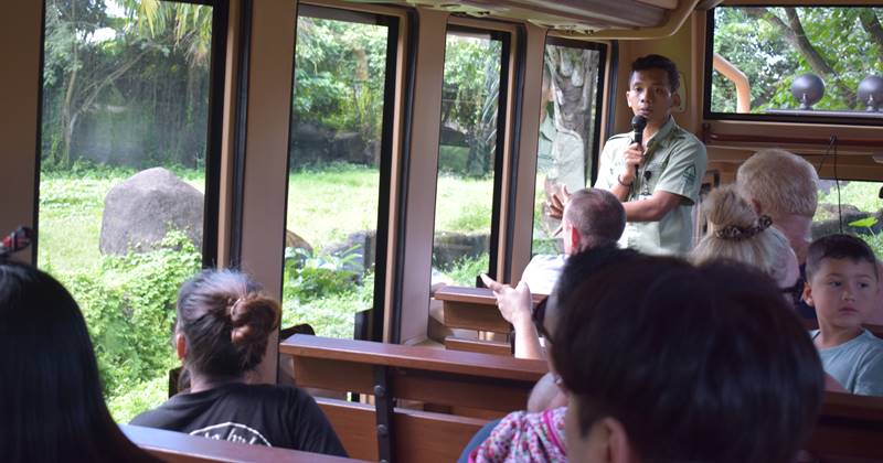 kunjungan ke taman bali safari dengan mobil tram berkeliling di dalam taman safari