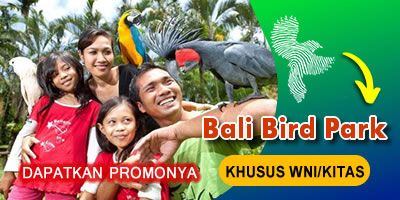 Harga Promo Bali Safari Domestik 13