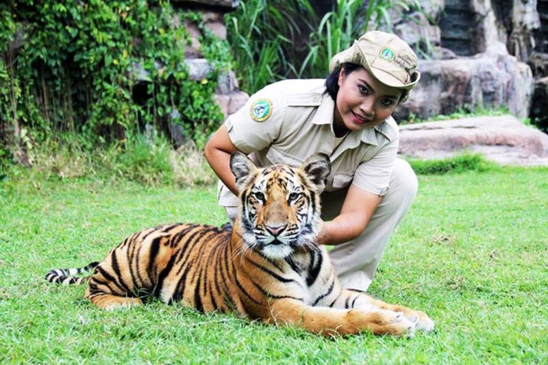 Get Closer with Lions and Tigers at Bali Safari Park