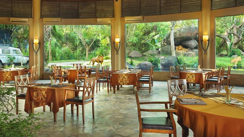 Breakfast with Lion - Tsavo Lion Restaurant
