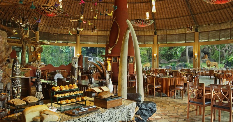 breakfast with lion bali safari park