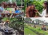 Breakfast with Orangutan + ATV Ride Tour