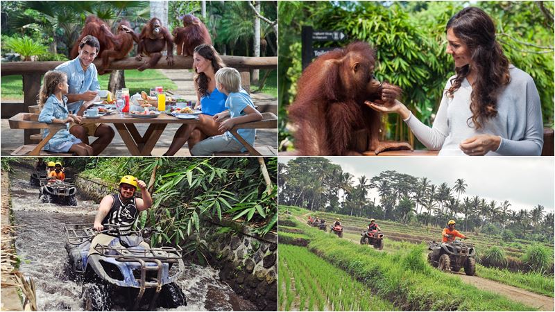 Breakfast with Orangutan + ATV Ride Tour 3