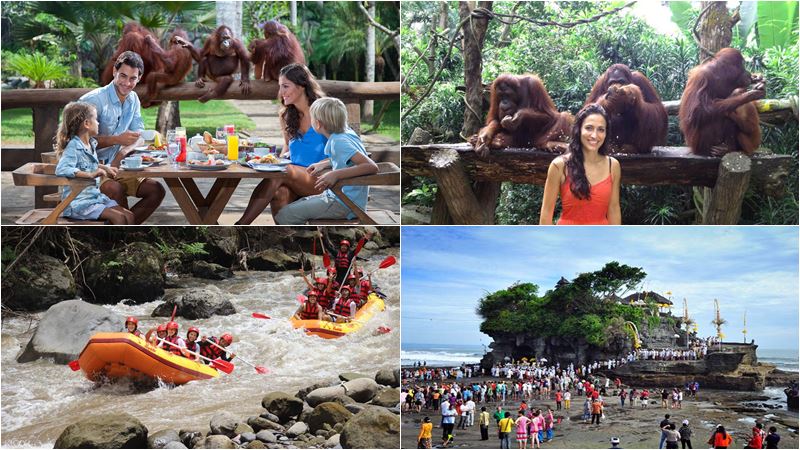 Breakfast with Orangutan + Ayung Rafting+ Tanah Lot Tour