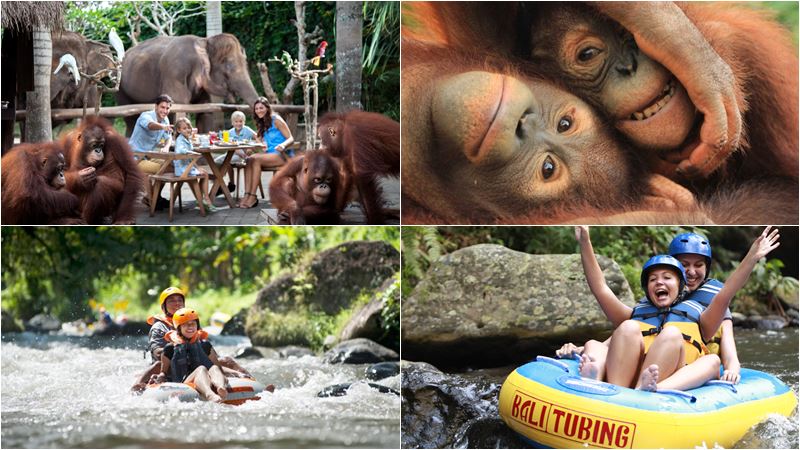 Breakfast with Orangutan + Adventure River Tubing