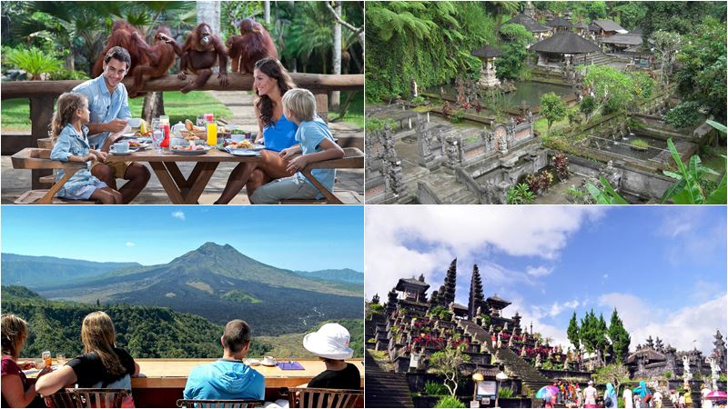 Breakfast with Orangutan + Mother Temple Tour