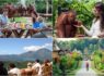 Breakfast with Orangutan + Penglipuran Village Tour