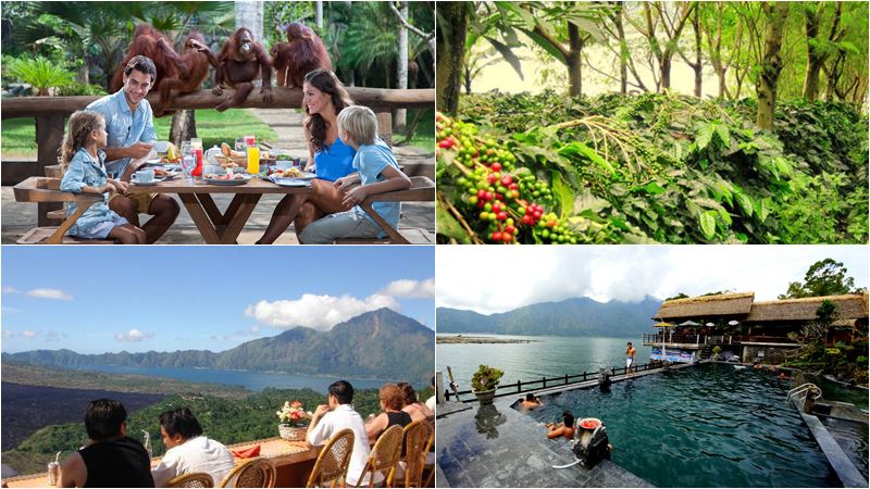 Breakfast with Orangutan + Hot Spring Tour