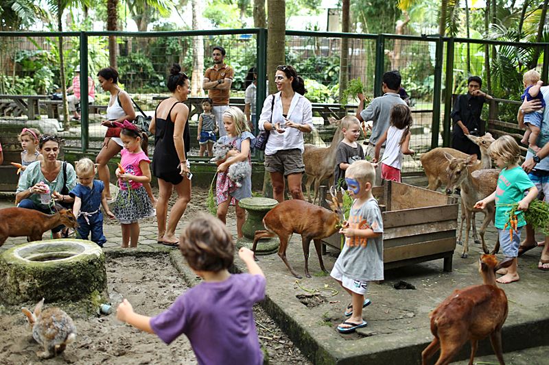 Bali Zoo: Up Close Wildlife Adventures in Bali 2