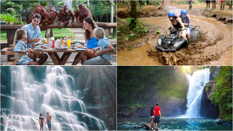 Breakfast with Orangutan + ATV Ride + Waterfall Tour