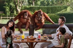 Breakfast with Orangutans Bali Zoo