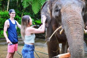 Elephant bathing Ubud