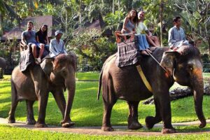 elephant riding in Bali