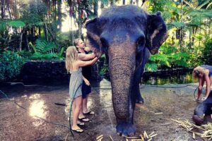 Mason Elephant Jumbo Wash Ubud